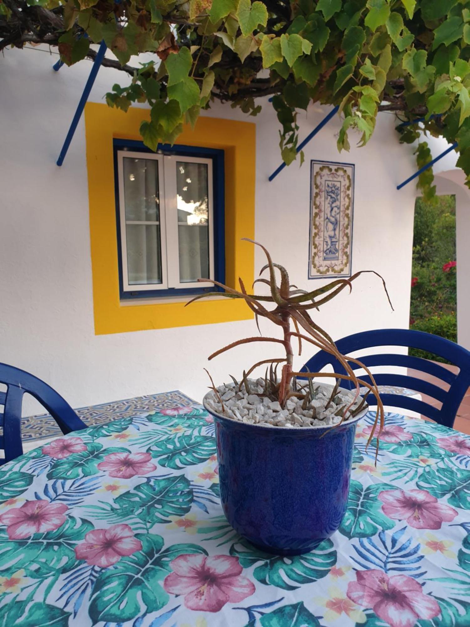הוילה סאו מרטיניו דו פורטו Sondela Self Catering מראה חיצוני תמונה
