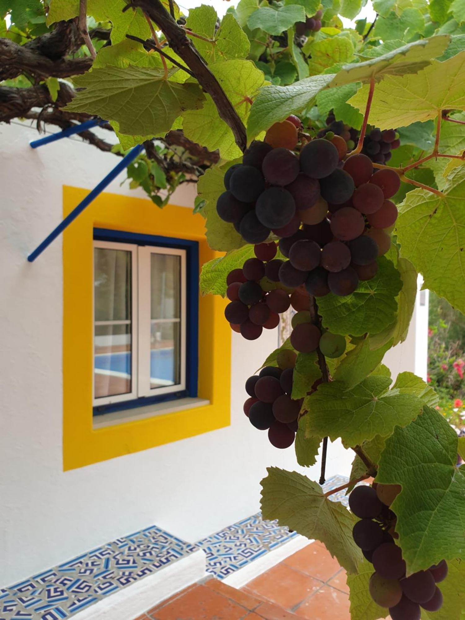 הוילה סאו מרטיניו דו פורטו Sondela Self Catering מראה חיצוני תמונה