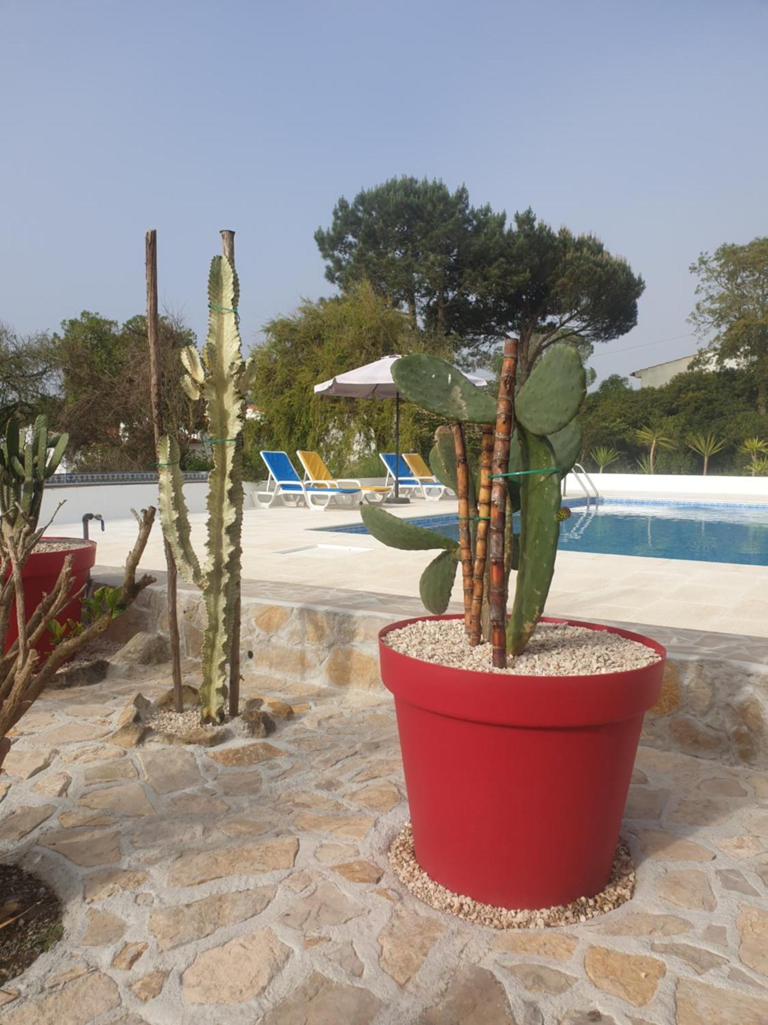 הוילה סאו מרטיניו דו פורטו Sondela Self Catering מראה חיצוני תמונה