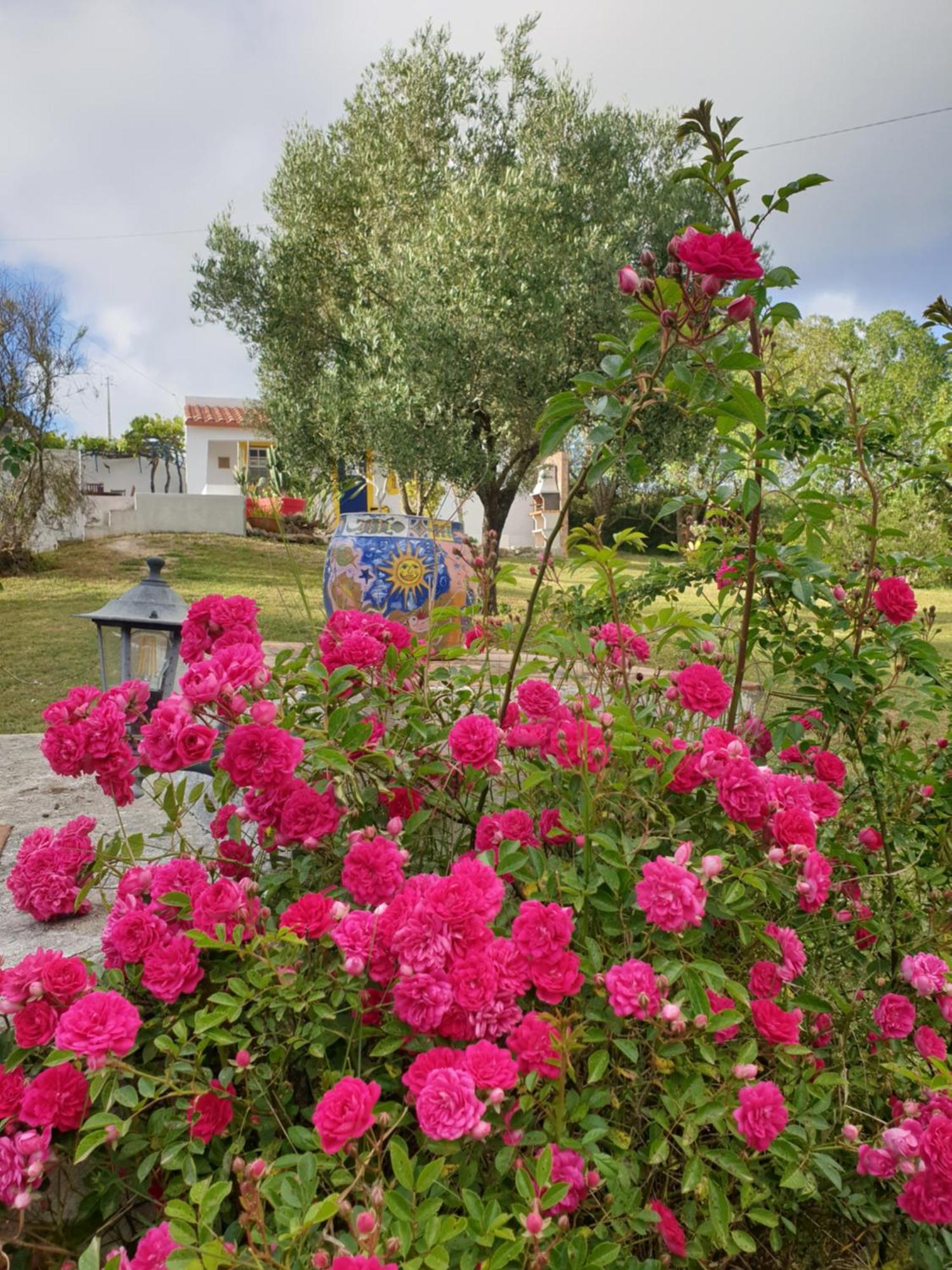 הוילה סאו מרטיניו דו פורטו Sondela Self Catering מראה חיצוני תמונה