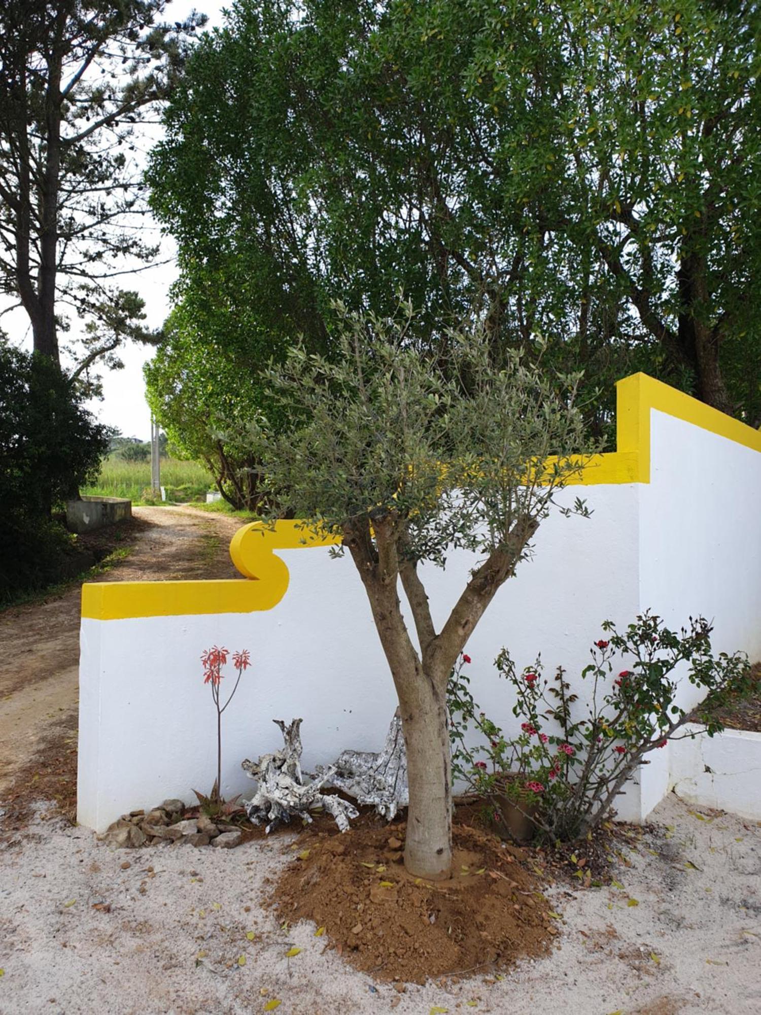 הוילה סאו מרטיניו דו פורטו Sondela Self Catering מראה חיצוני תמונה
