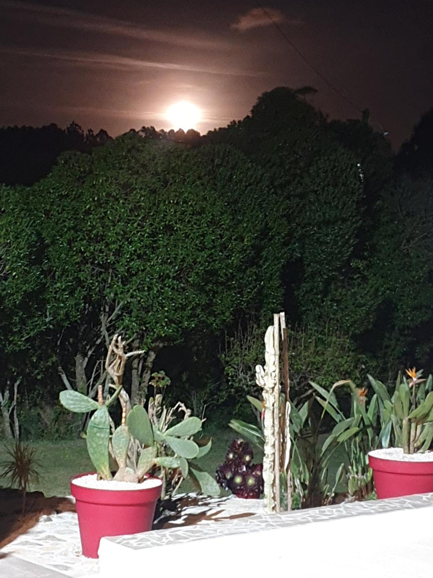 הוילה סאו מרטיניו דו פורטו Sondela Self Catering מראה חיצוני תמונה