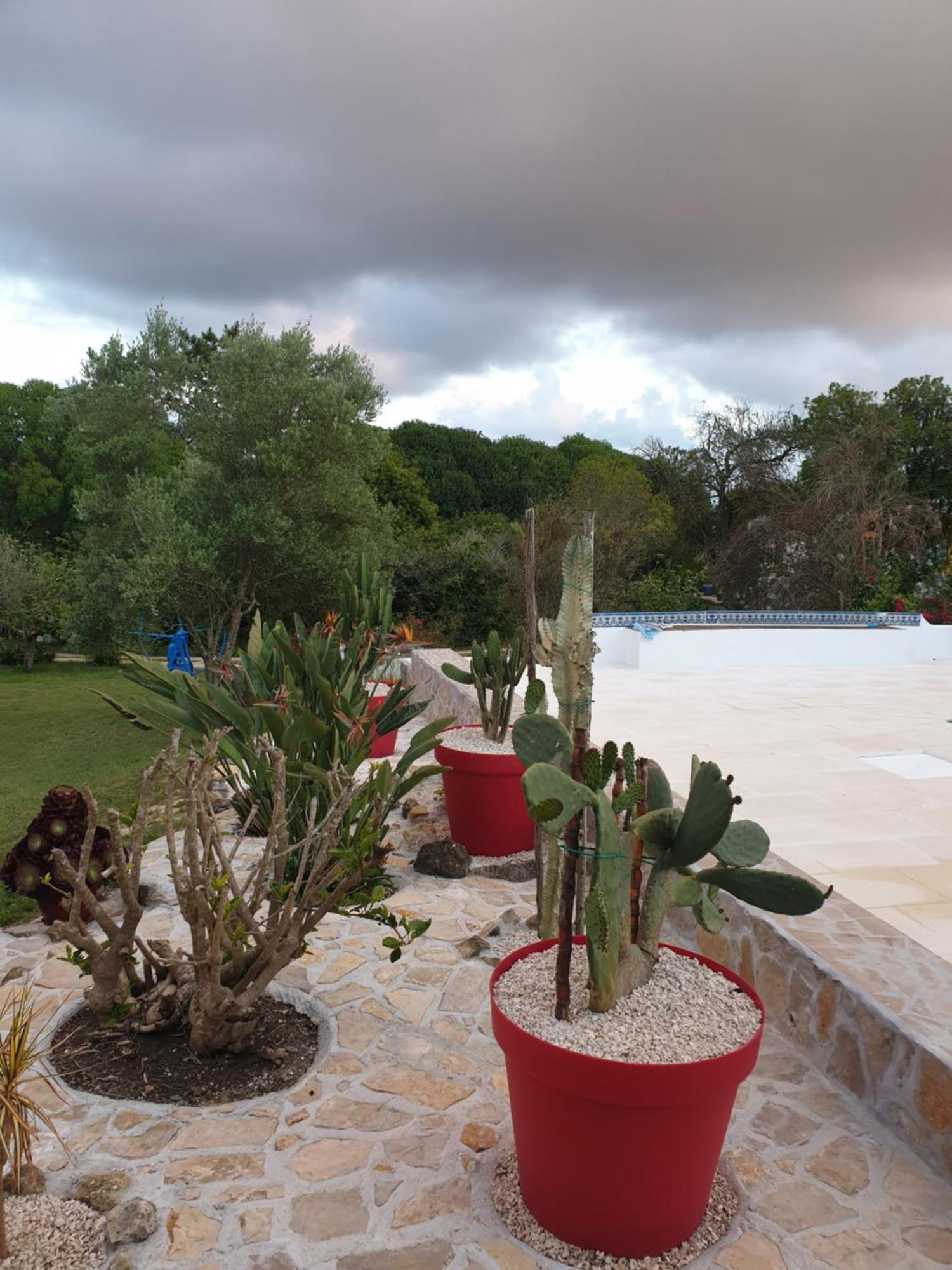 הוילה סאו מרטיניו דו פורטו Sondela Self Catering מראה חיצוני תמונה