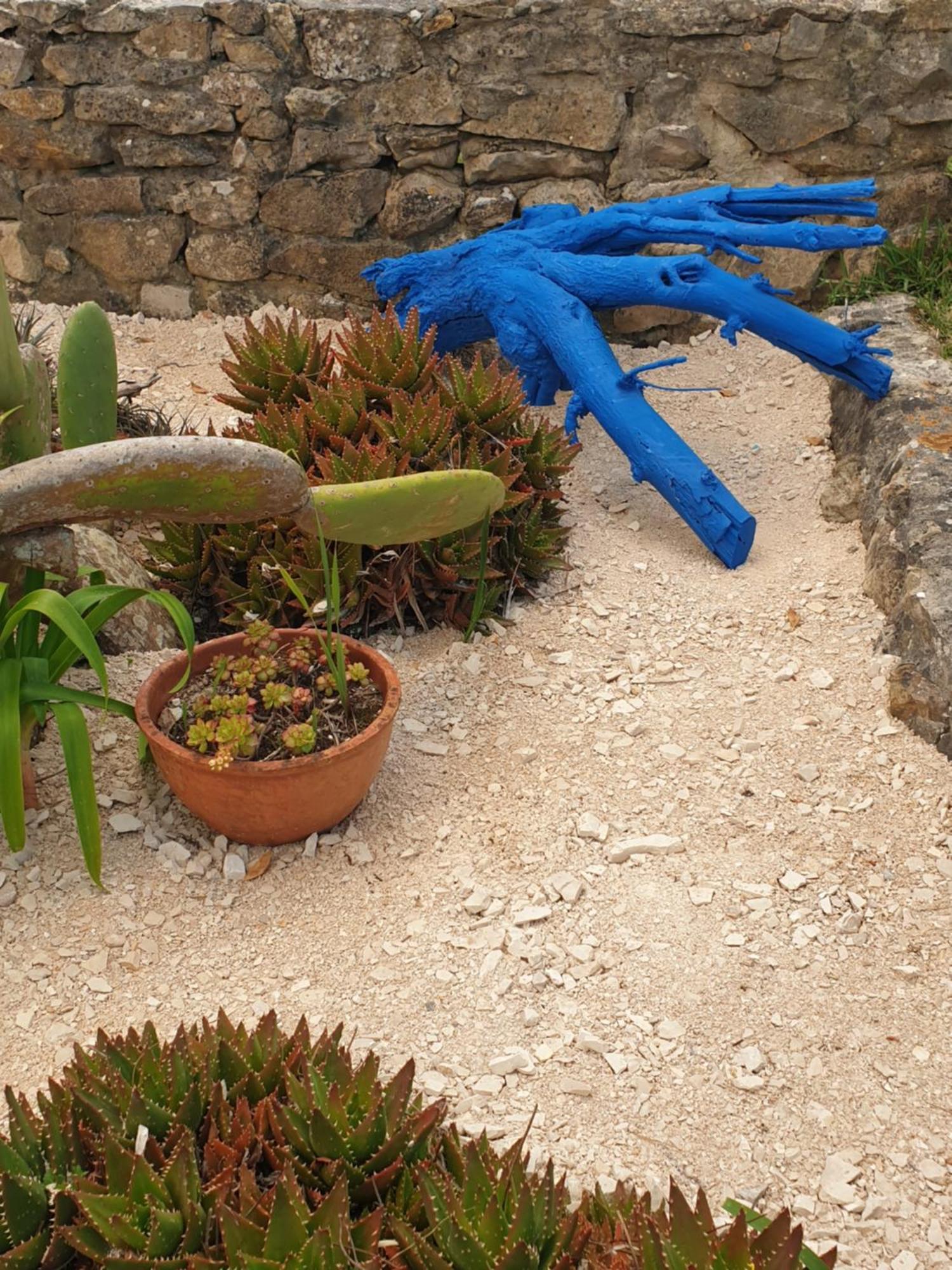 הוילה סאו מרטיניו דו פורטו Sondela Self Catering מראה חיצוני תמונה