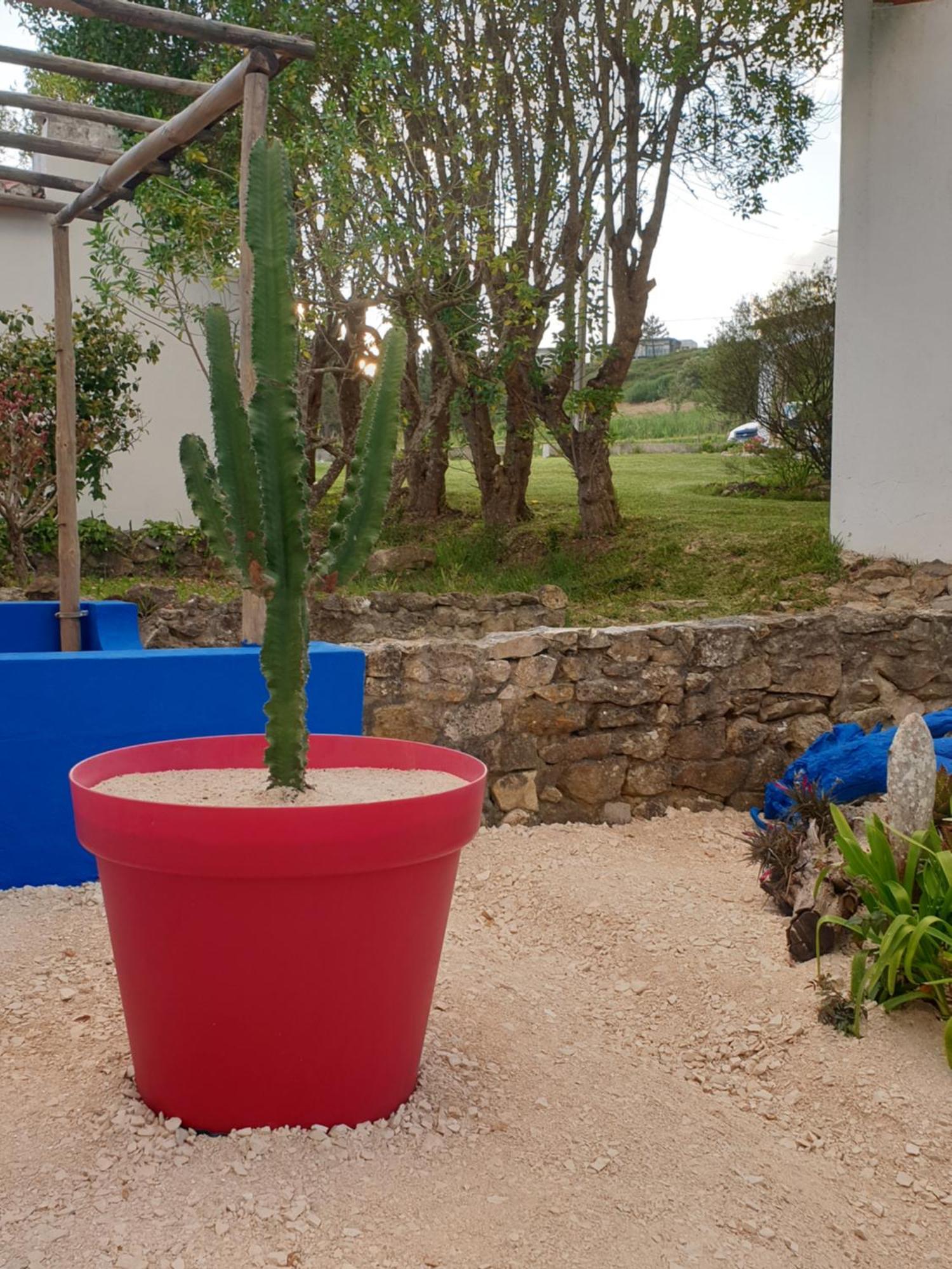 הוילה סאו מרטיניו דו פורטו Sondela Self Catering מראה חיצוני תמונה