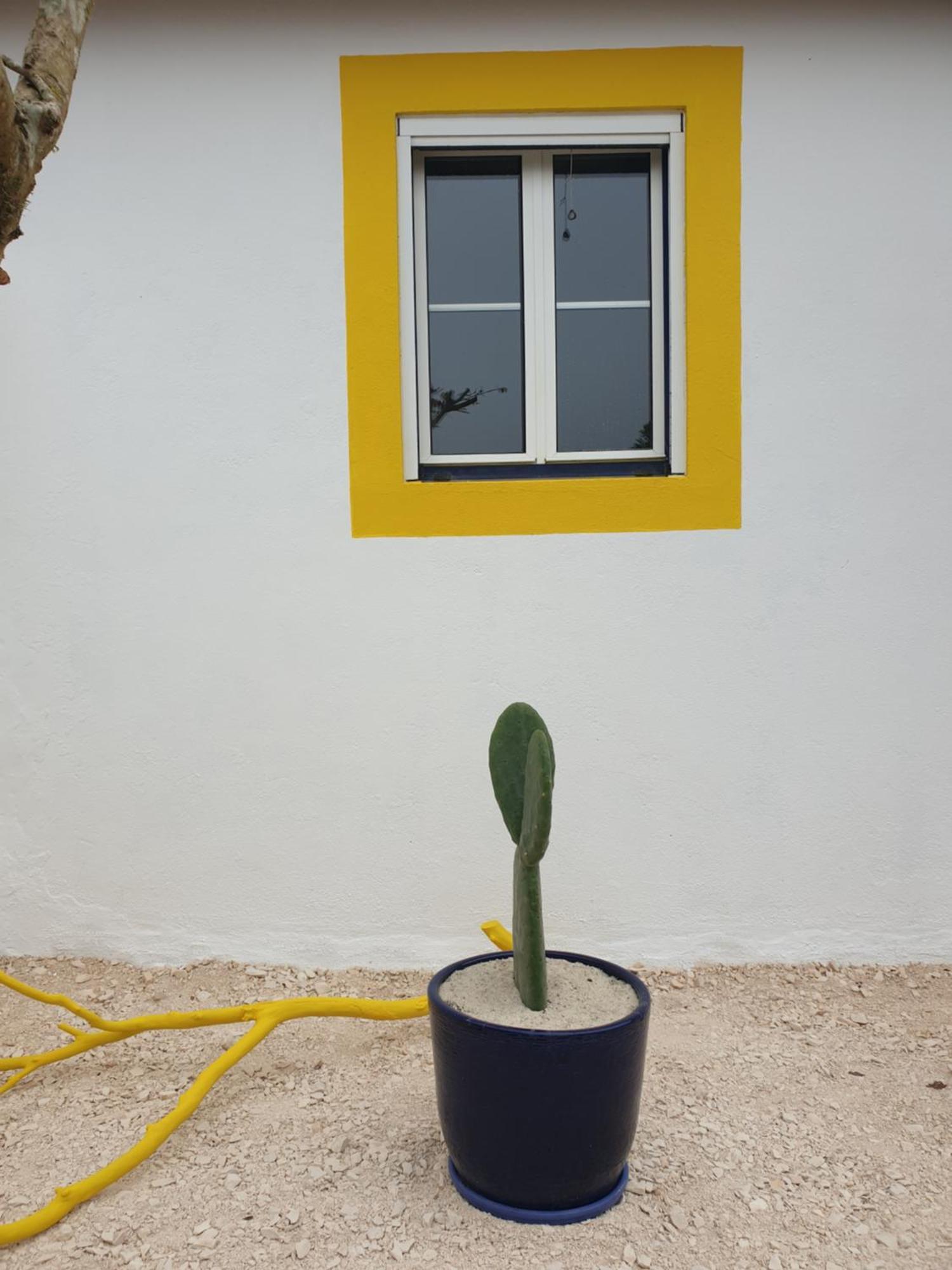 הוילה סאו מרטיניו דו פורטו Sondela Self Catering מראה חיצוני תמונה
